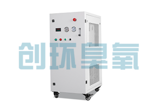 新乐石斑鱼养殖水质调控完整指南:臭氧发生器配置与操作步骤