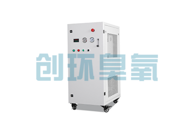 新乐比传统换水更高效?臭氧发生器在石斑鱼养殖中的水质净化原理解析